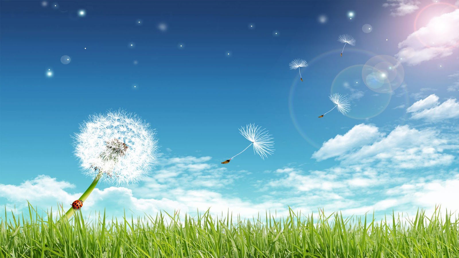 Die Schonsten Ferien Wallpaper Schieb De