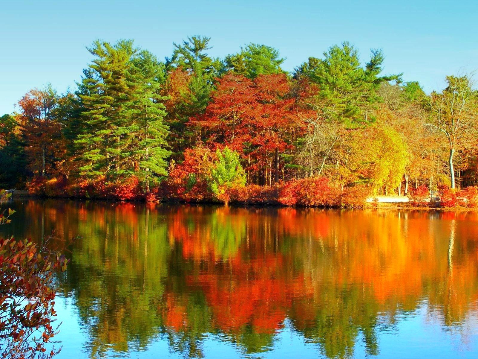 Kostenlos desktop herbst hintergrund Herbst Hintergrundbilder