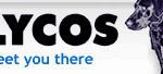 Lycos Logo