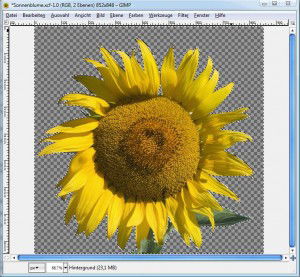 GIMP: Zauberstab-Werkzeug, Bild freigestellt