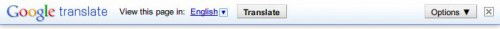 Google Translate Bar