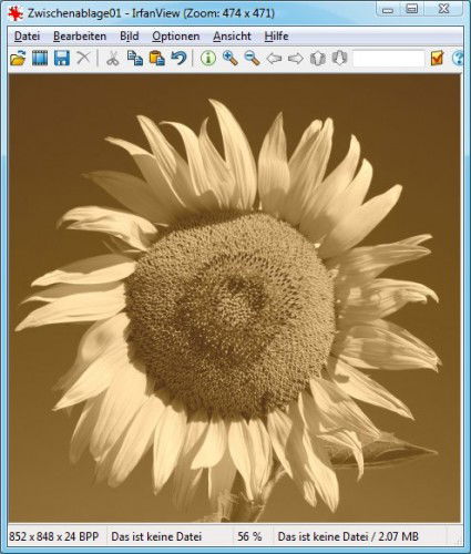 IrfanView: Sepia-Bild
