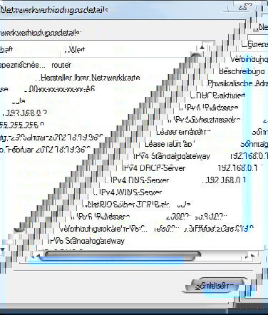 Windows: Netzwerk-IP-Adresse auslesen