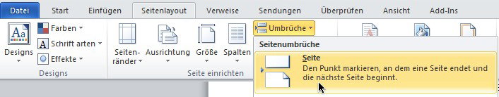 Word 2010: Seitenumbruch einfügen
