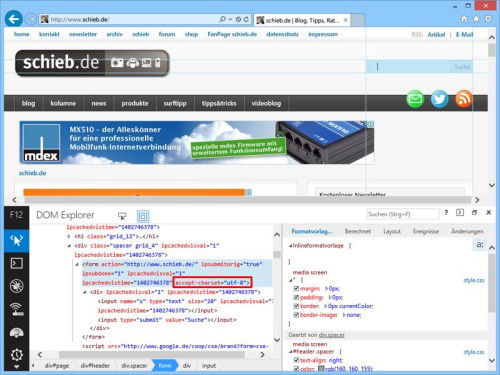 ie-form-accept-charset