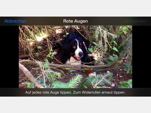 ios-rote-augen