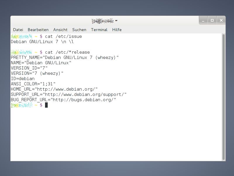 Welche Linux-Version ist installiert?