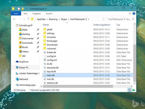 skype-chatverlauf-datenbank-explorer