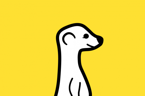 meerkat