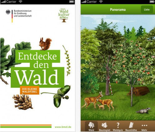 waldfibel