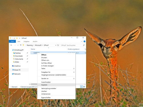 office-benutzerwoerterbuch-kopieren