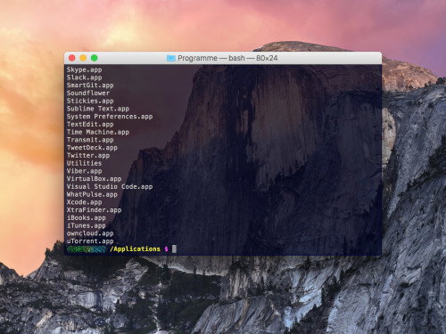 osx-terminal-programmliste