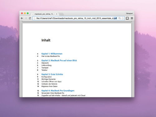 chrome-pdf-dokumente-anzeigen