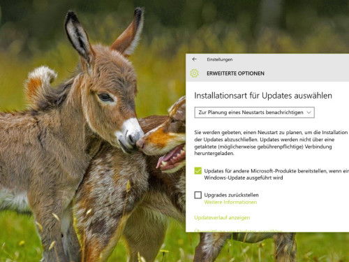 win10-installations-art-updates-auswaehlen