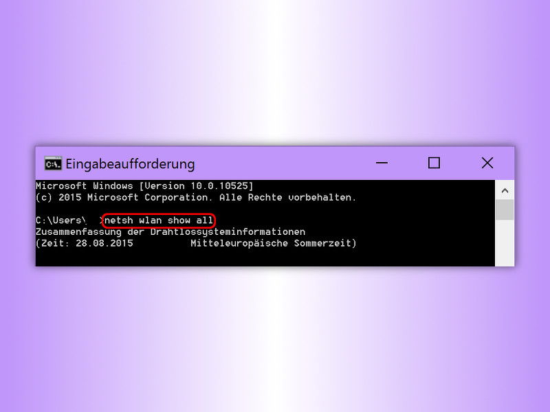 Details zu einem WLAN anzeigen
