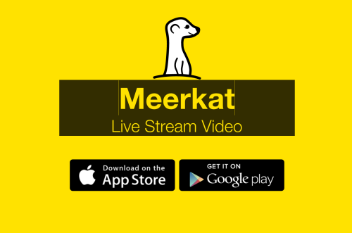 Meerkat