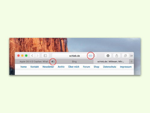 safari-browser-sound-stummschalten