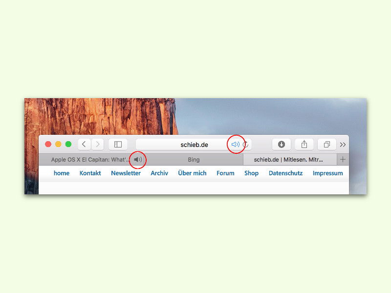 Safari 9: Wiedergabe von Sound in Webseiten stummschalten