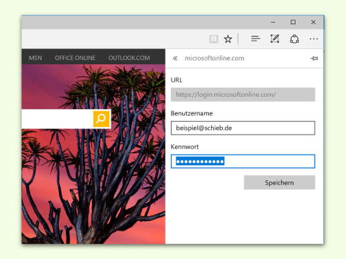 edge-browser-website-kennwort-bearbeiten