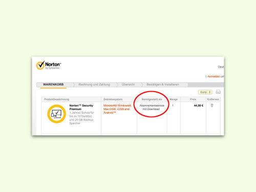 norton-online-abo
