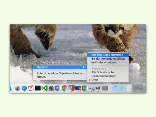 aus-dem-dock-entfernen