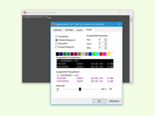 bash-windows-fenster-transparenz