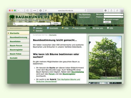 baumkunde.de
