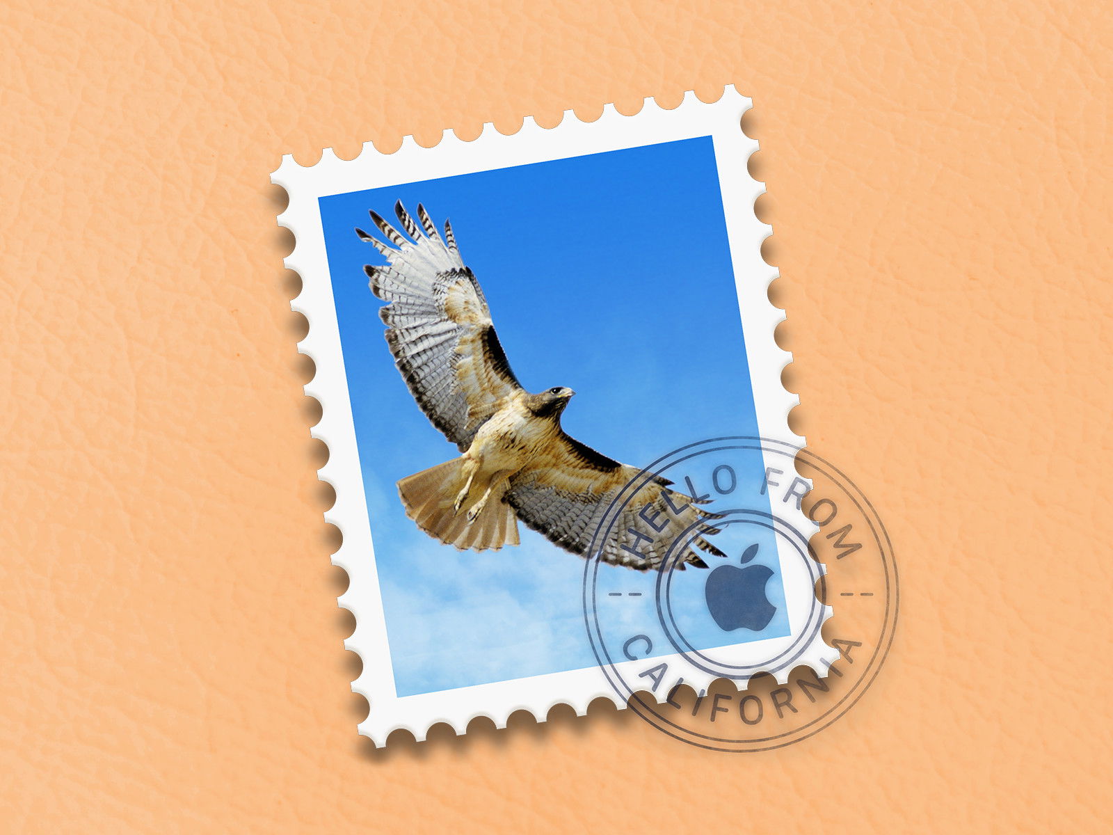 Apple Mail: Absturz- und Anzeige-Probleme beheben