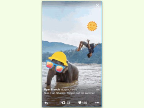 twitter-sticker