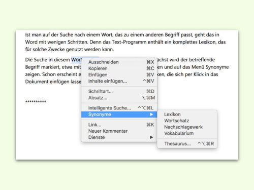 word-synonyme-finden