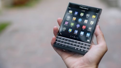 blackberries-1377071_1280