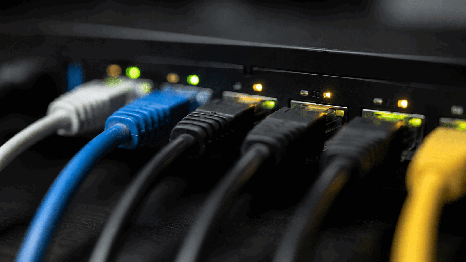 Netzwerkkabel an Switch mit leuchtenden Status-LEDs