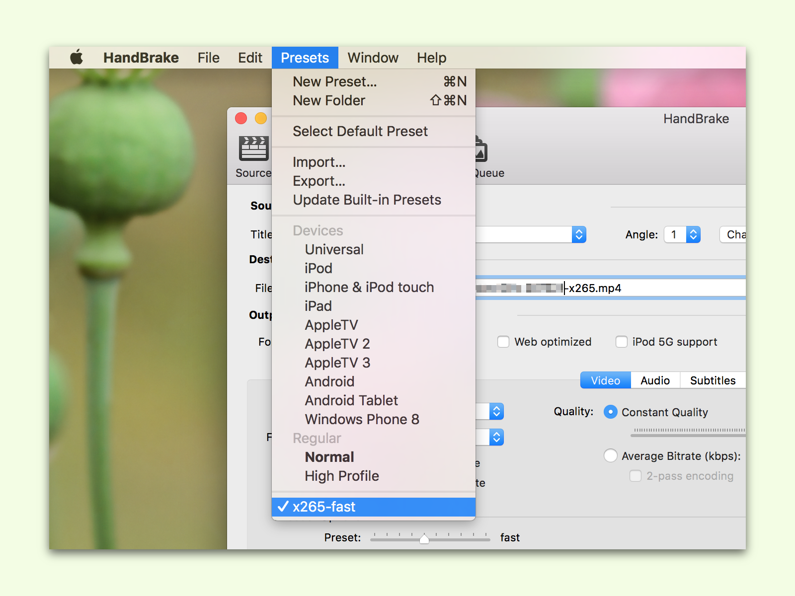 HandBrake: Video-Einstellungen als Vorlage speichern