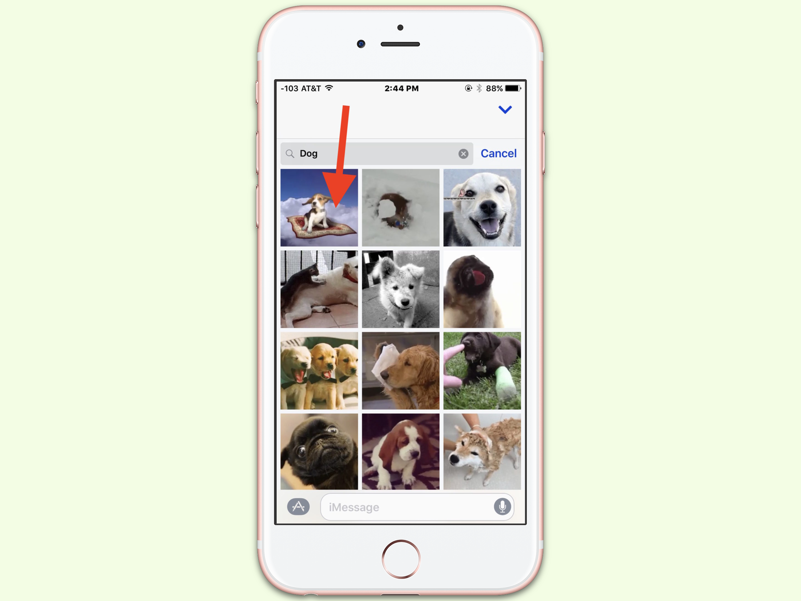 Animierte GIFs über iMessage versenden