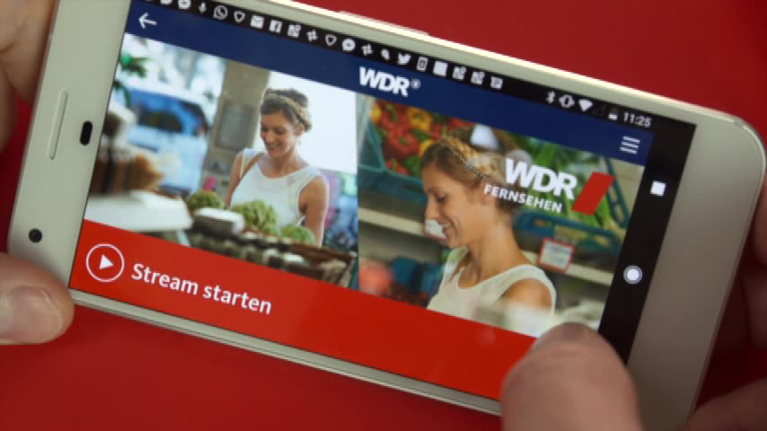 Fernsehen im Netz