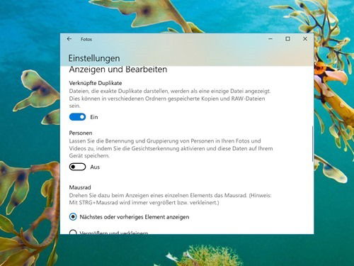 win10-fotos-app-keine-gesichter-erkennen