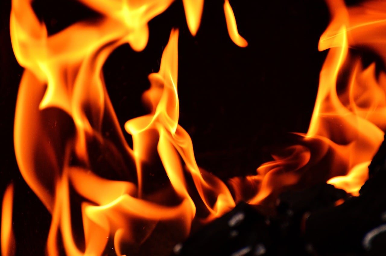 Richtig Grillen durch das Smartphone