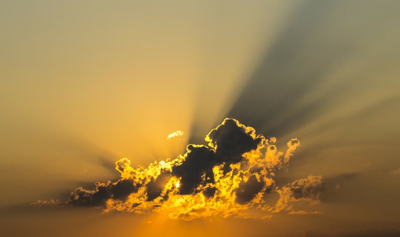 Neue OneDrive-Funktionen vorab testen
