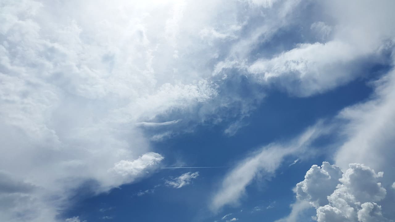 Teilen von Dateien und Verzeichnissen über OneDrive