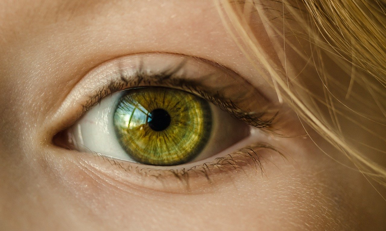 Schau mich an! Eye Contact bei Videokonferenzen