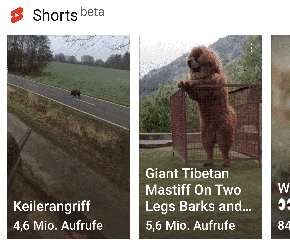Youtube Shorts: Die Welt in 60 Sekunden – und vertikal
