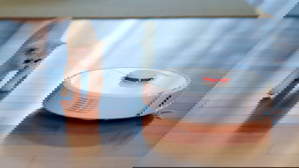 Viele Saugroboter haben Sensoren, Kameras und Mikros