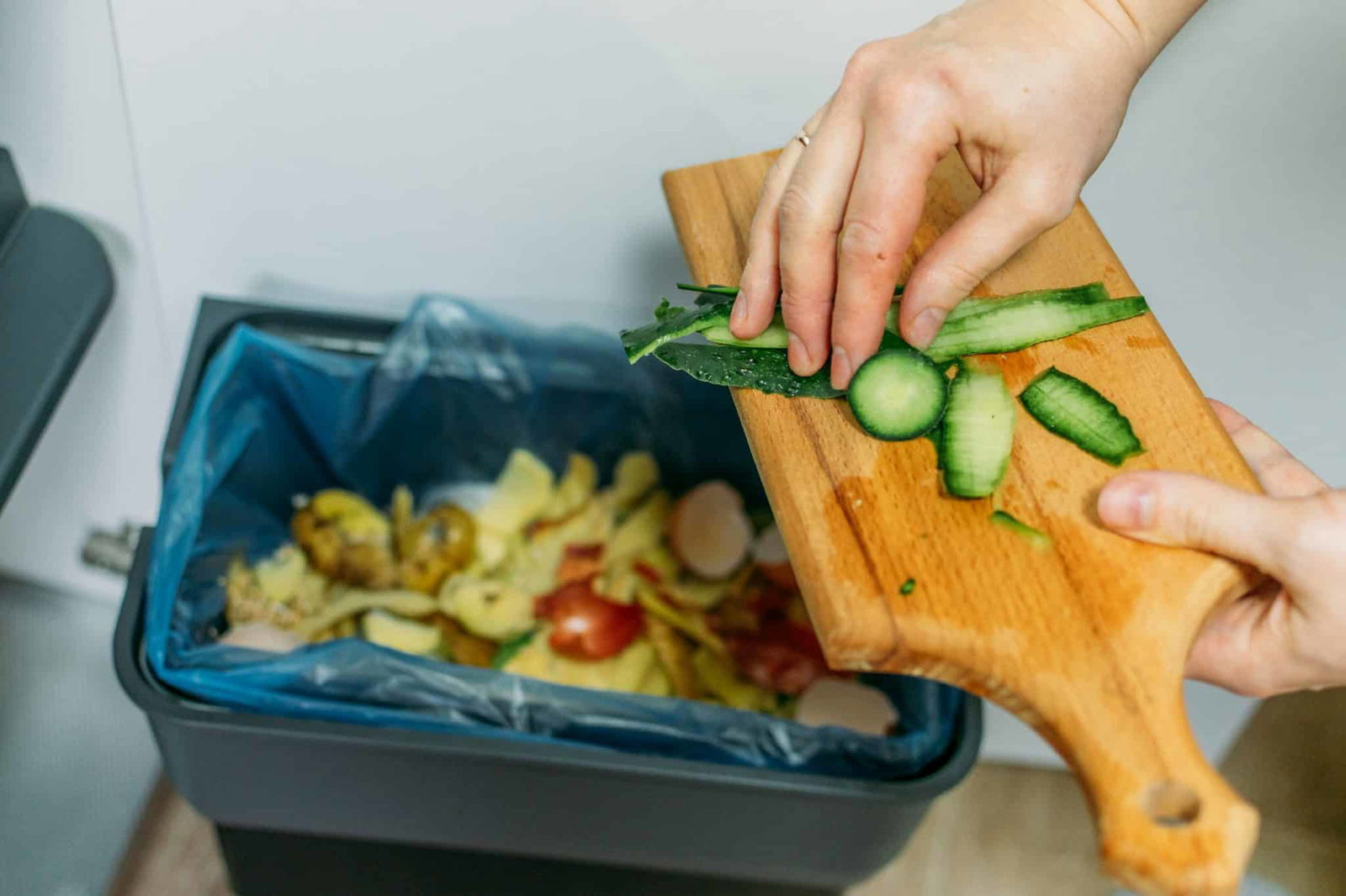 Lebensmittel retten: Too good to go und Foodsharing