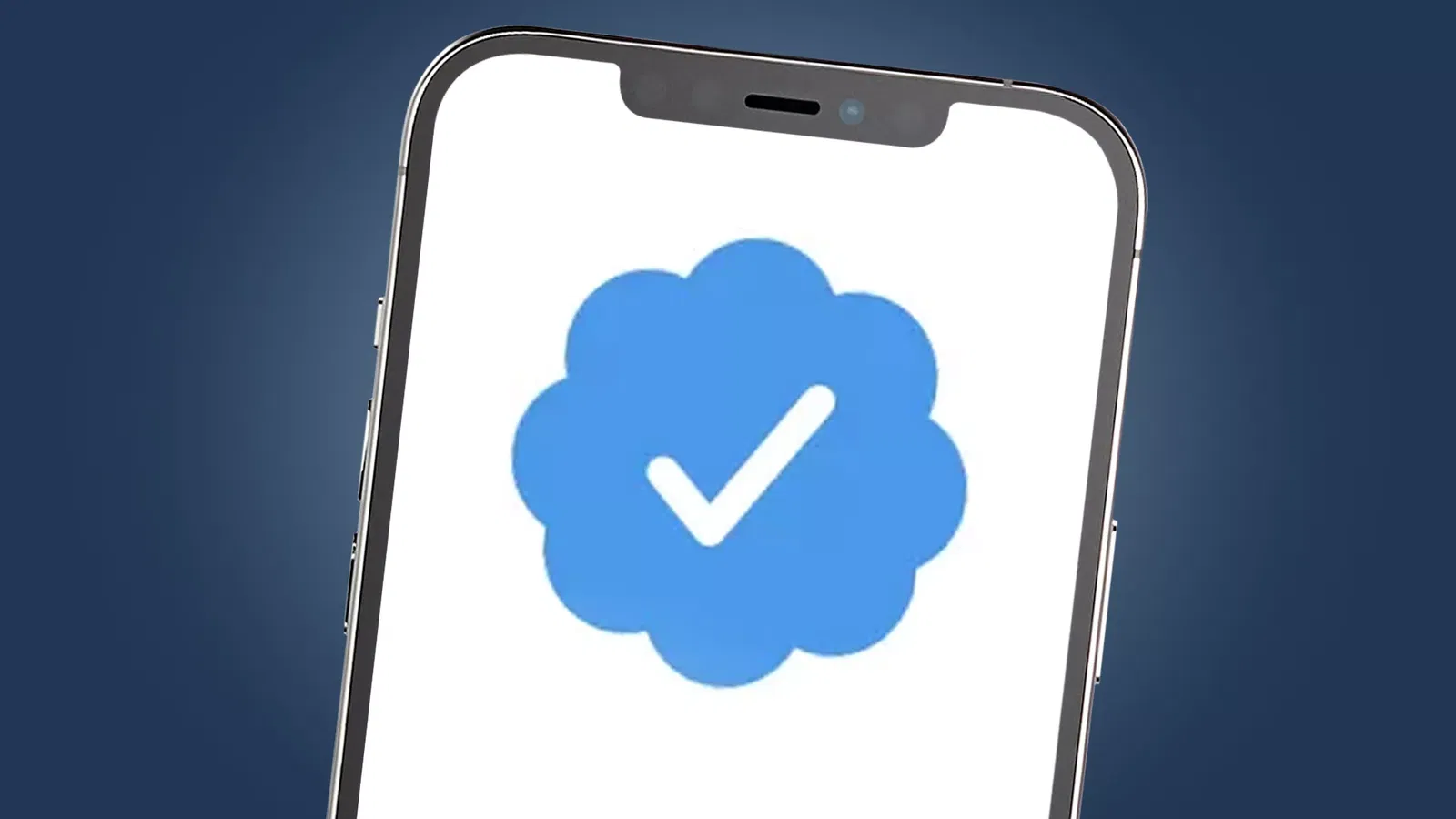 Block the Blue: Twitter lässt das Blau hinter sich: Ein mutiger Schritt in die Zukunft oder ein Fehler?