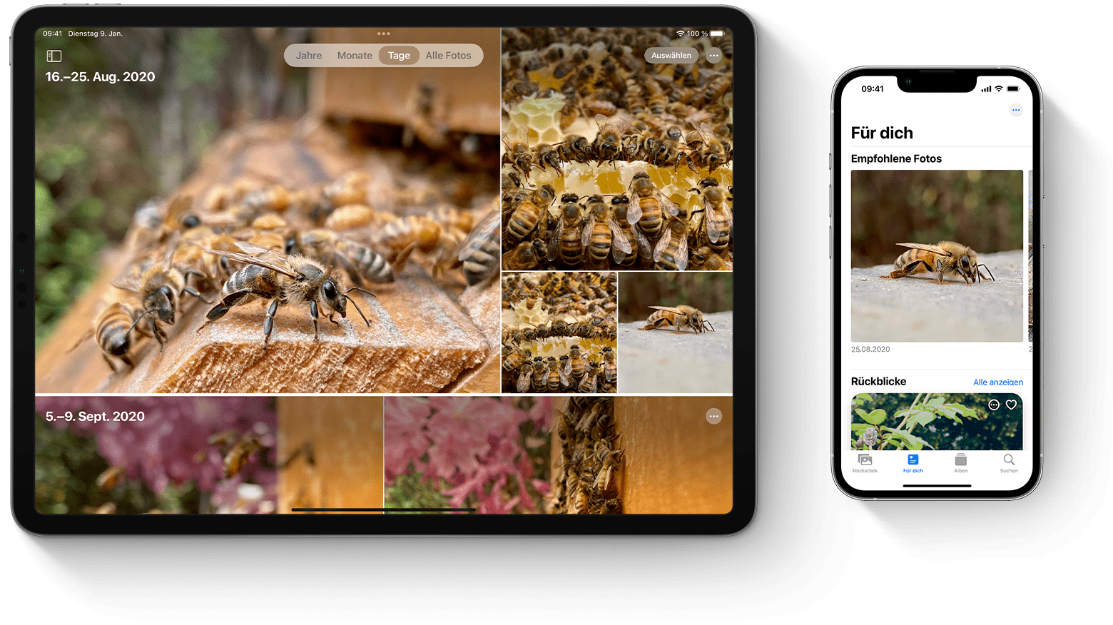 Apple beendet Foto-Stream: Foto-Synchronisierung wird am 26. Juli 2023 eingestellt