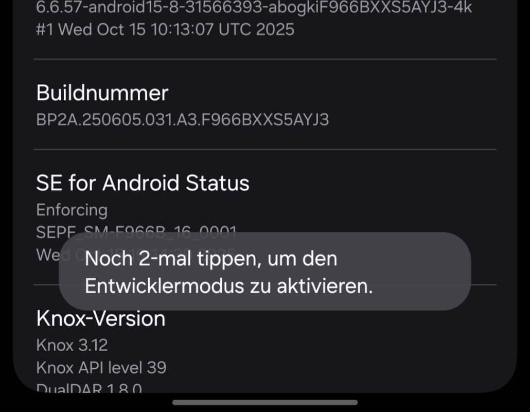 Anleitung zur Aktivierung des Entwicklermodus