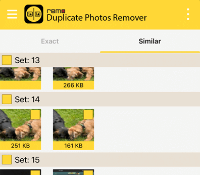 Duplicate Fotos in Remo App anzeigen