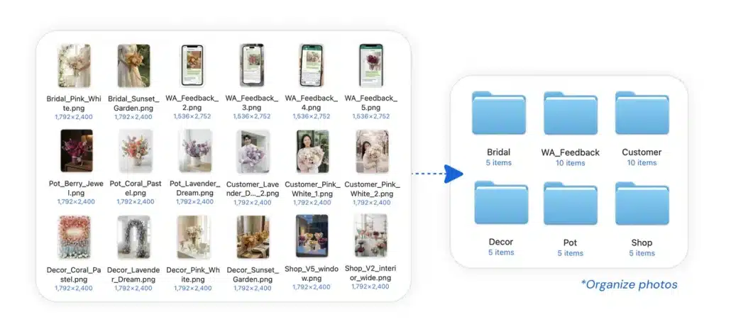 Dateien werden in strukturierte Ordner organisiert